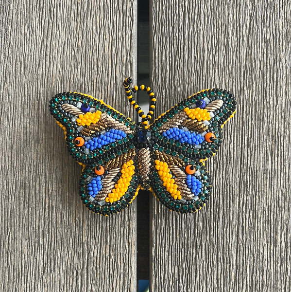 Rungg Brooches - Multi color Butterfly